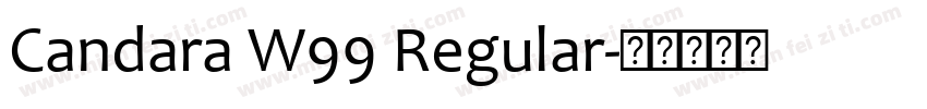 Candara W99 Regular字体转换
